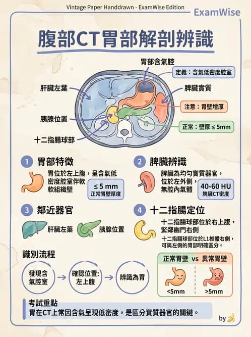 放射 - 胸腹部CT診斷 - AI 圖文解析預覽