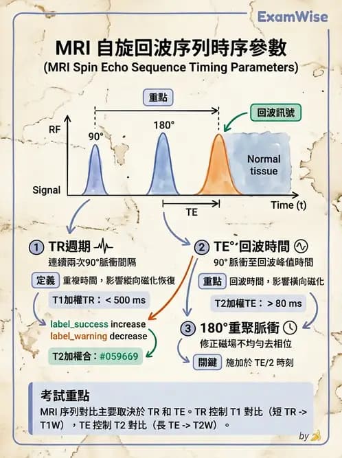 放射 - MRI脈衝序列與訊號技術 - AI 圖文解析預覽
