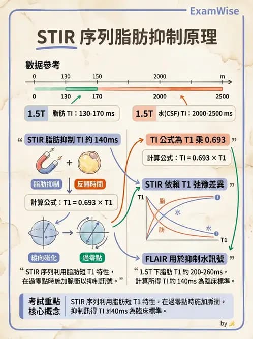 放射 - MRI脈衝序列與訊號技術 - AI 圖文解析預覽