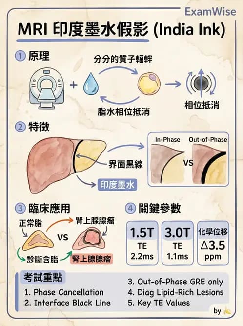 放射 - 磁振影像品質與參數 - AI 圖文解析預覽