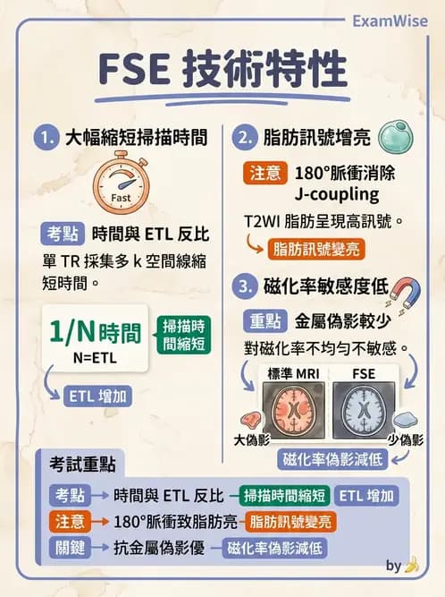 放射 - MRI脈衝序列與訊號技術 - AI 圖文解析預覽