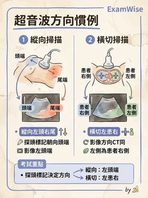 放射 - 超音波物理與技術 - AI 圖文解析預覽