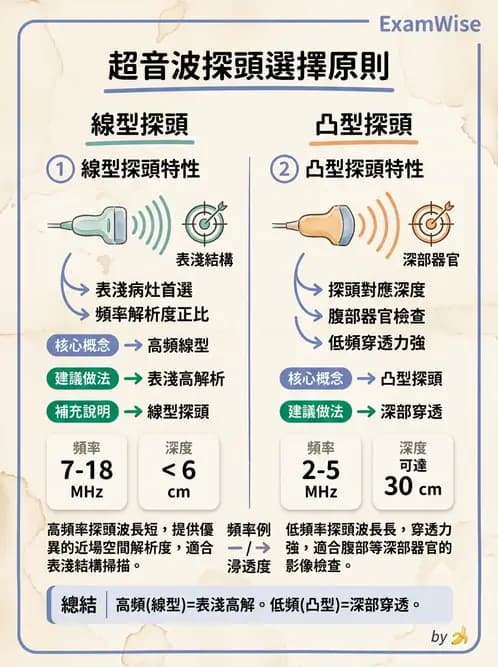 放射 - 超音波物理與技術 - AI 圖文解析預覽