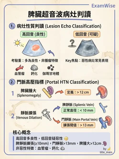 放射 - 膽胰脾超音波 - AI 圖文解析預覽