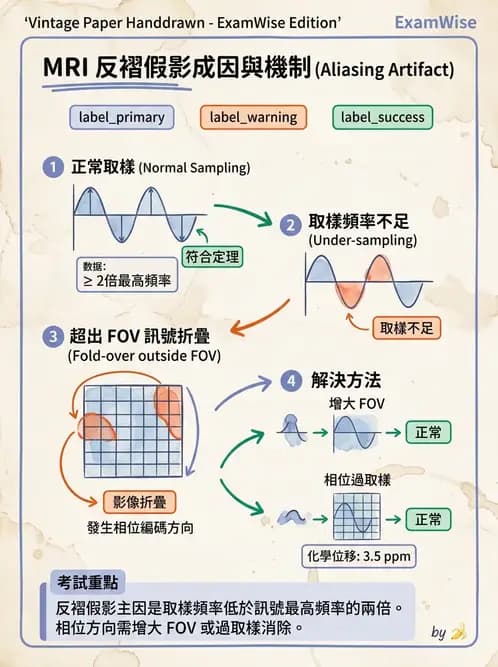 放射 - 磁振影像品質與參數 - AI 圖文解析預覽