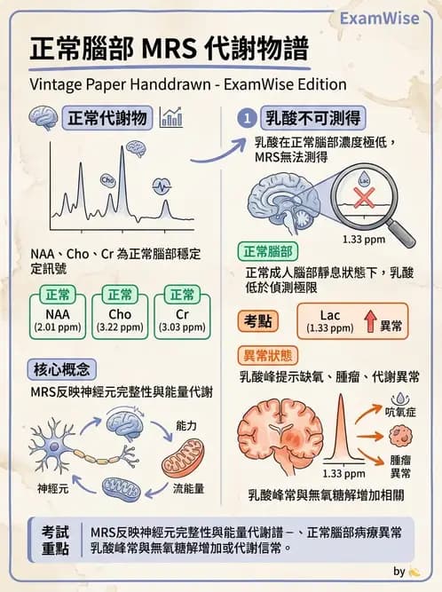 放射 - MR進階影像與臨床應用 - AI 圖文解析預覽