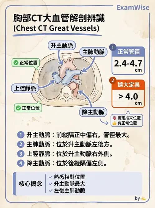 放射 - CTA與CT影像技術應用 - AI 圖文解析預覽