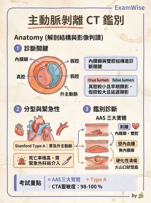 放射 - CTA與CT影像技術應用 - AI 圖文解析預覽