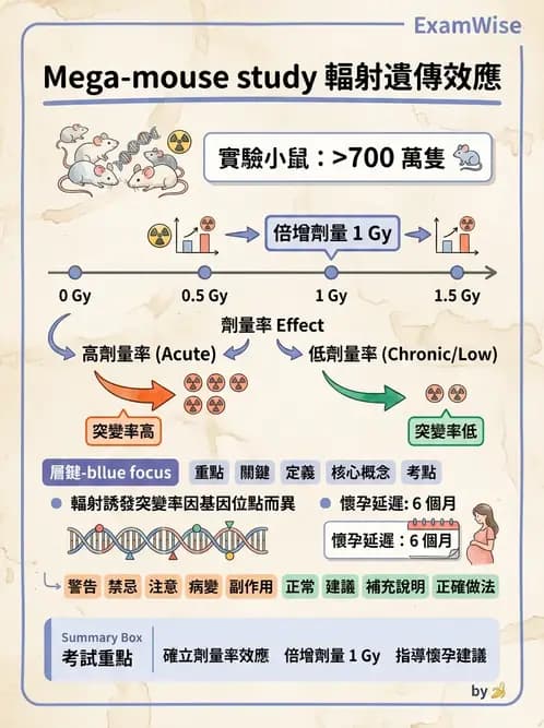 放射 - 輻射致癌與遺傳效應 - AI 圖文解析預覽