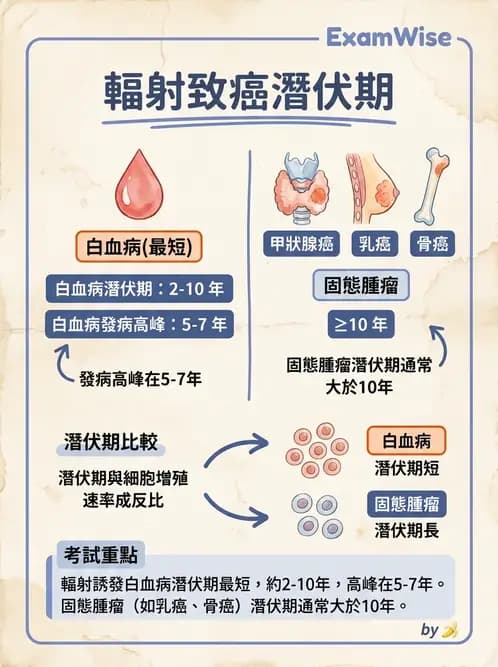 放射 - 輻射致癌與遺傳效應 - AI 圖文解析預覽