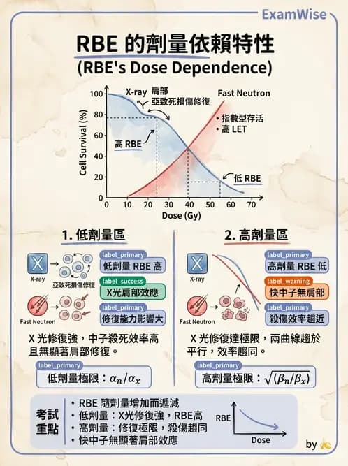 放射 - LET、RBE、OER與復氧效應 - AI 圖文解析預覽