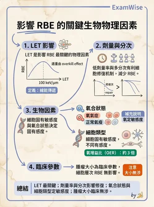 放射 - LET、RBE、OER與復氧效應 - AI 圖文解析預覽