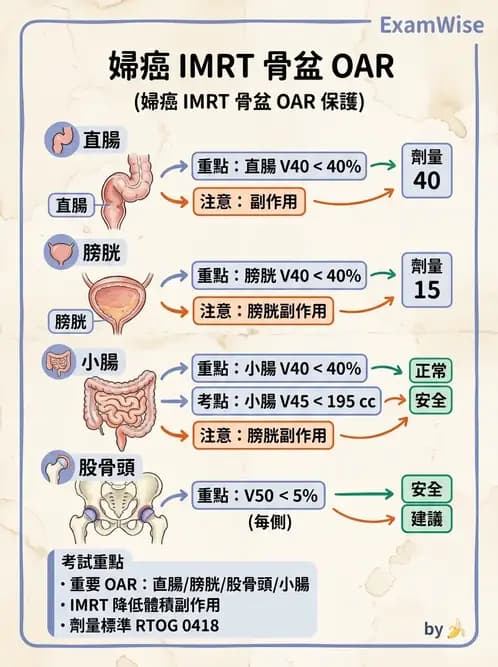 放射 - 疾病部位計畫與危急器官保護 - AI 圖文解析預覽