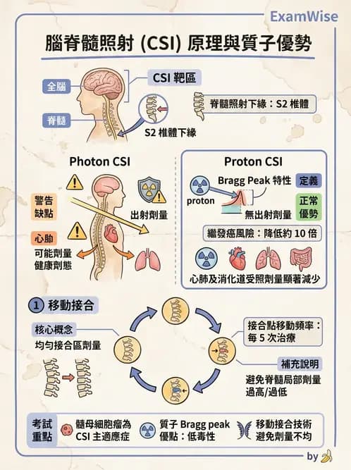 放射 - 疾病部位計畫與危急器官保護 - AI 圖文解析預覽