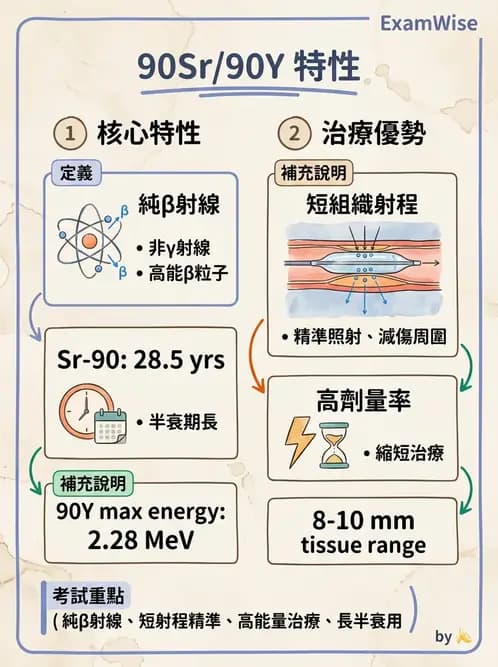 放射 - 血管內近接治療 - AI 圖文解析預覽