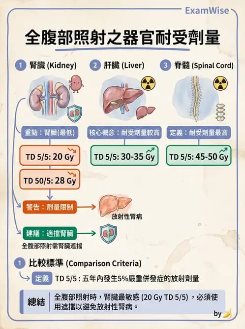 放射 - 疾病部位計畫與危急器官保護 - AI 圖文解析預覽