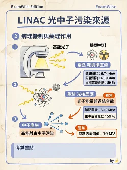 放射 - 放射治療輻射防護 - AI 圖文解析預覽