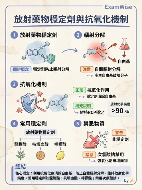 放射 - 肺肝膽與製劑通則 - AI 圖文解析預覽