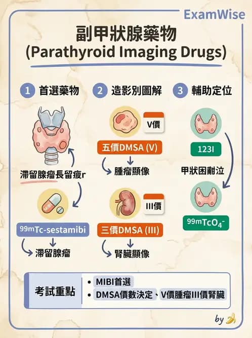 放射 - 腫瘤與內分泌造影SPECT藥物 - AI 圖文解析預覽