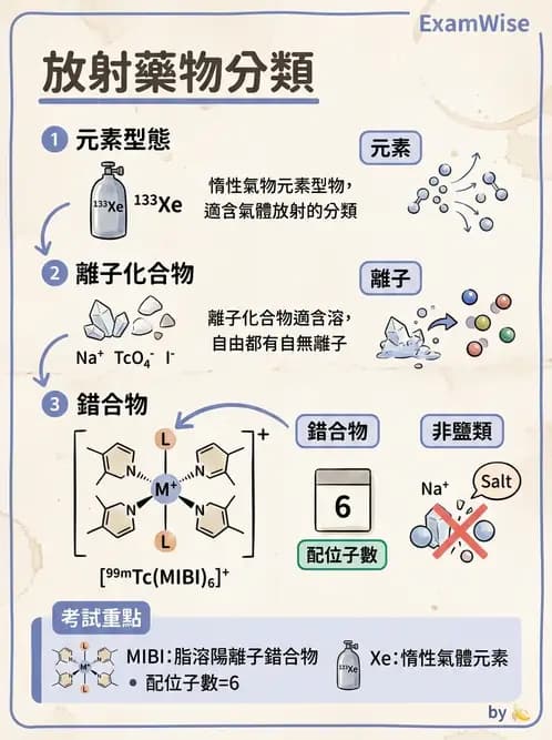 放射 - 肺肝膽與製劑通則 - AI 圖文解析預覽