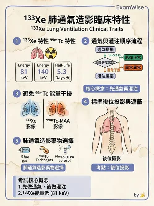 放射 - 肺部與感染造影 - AI 圖文解析預覽