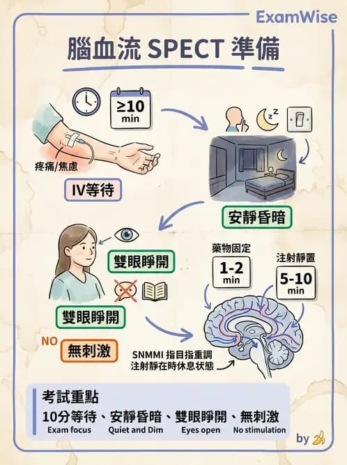 放射 - 腦部造影 - AI 圖文解析預覽