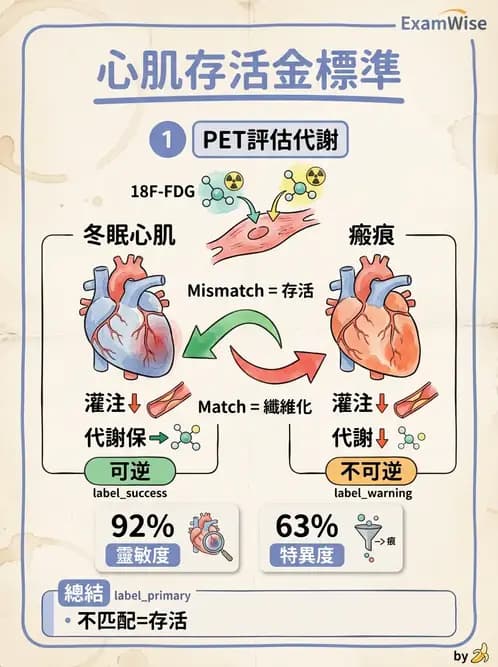 放射 - FDG PET造影 - AI 圖文解析預覽