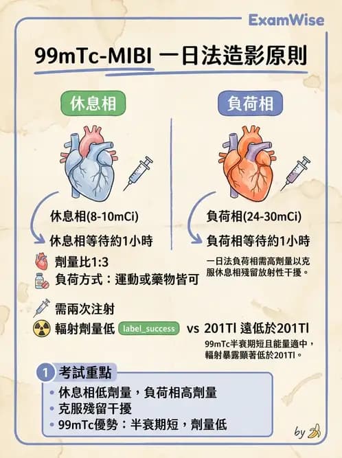放射 - 心臟灌注造影 - AI 圖文解析預覽