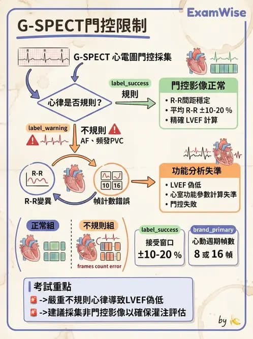 放射 - 心臟灌注造影 - AI 圖文解析預覽