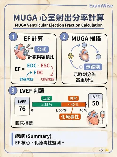 放射 - 心室功能造影 - AI 圖文解析預覽