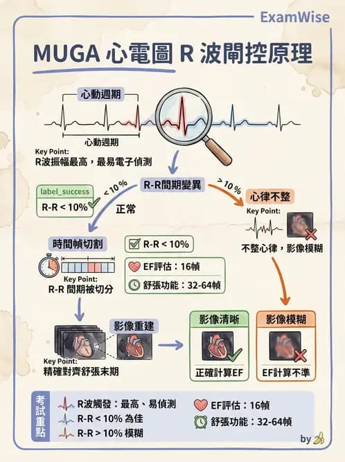 放射 - 心室功能造影 - AI 圖文解析預覽