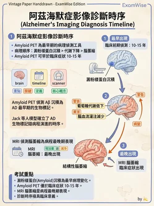 放射 - 腦部造影 - AI 圖文解析預覽