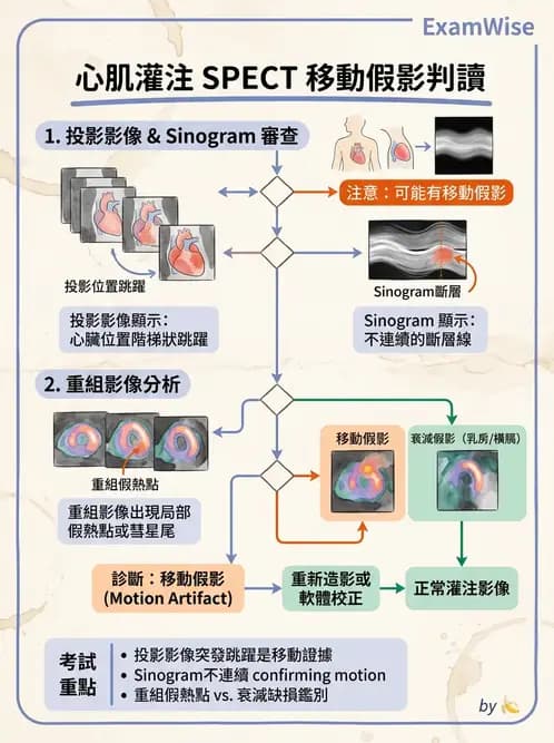 放射 - 心臟灌注造影 - AI 圖文解析預覽