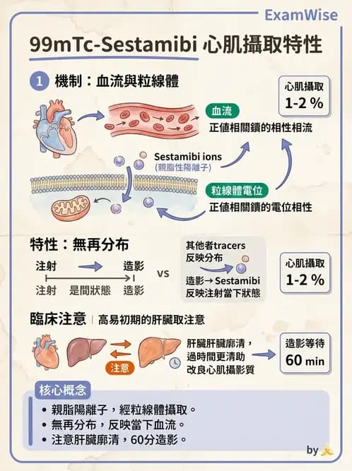 放射 - 心肌造影SPECT藥物 - AI 圖文解析預覽