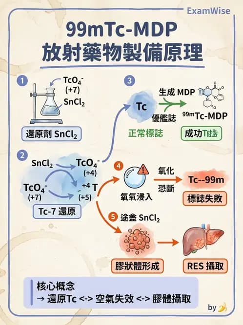 放射 - 骨骼與發炎造影SPECT藥物 - AI 圖文解析預覽