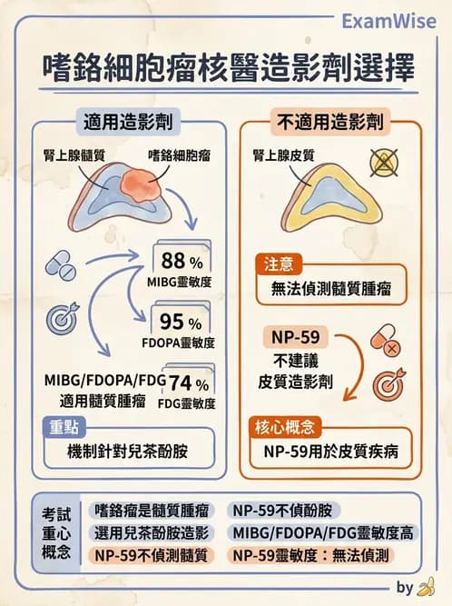 放射 - 腫瘤與內分泌造影SPECT藥物 - AI 圖文解析預覽