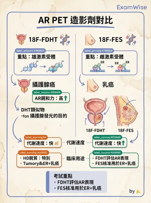 放射 - 腫瘤PET藥物 - AI 圖文解析預覽
