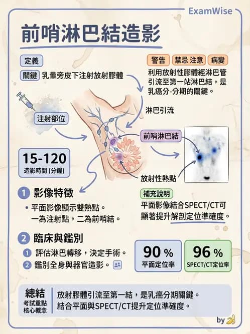 放射 - 副甲狀腺與前哨淋巴結造影 - AI 圖文解析預覽