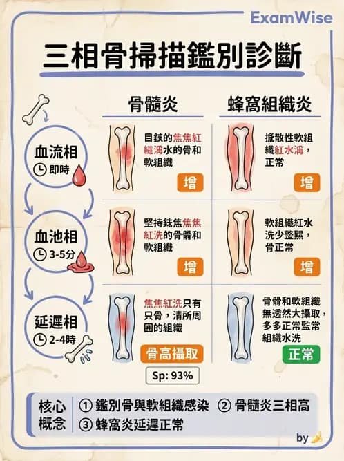 放射 - 骨骼造影 - AI 圖文解析預覽