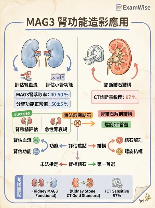 放射 - 腎臟造影 - AI 圖文解析預覽