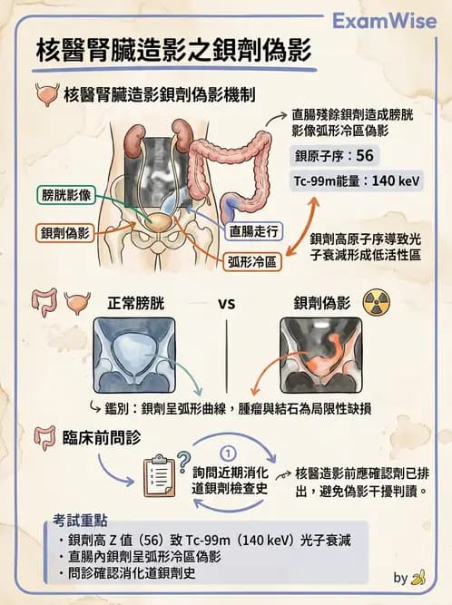 放射 - 腎臟造影 - AI 圖文解析預覽