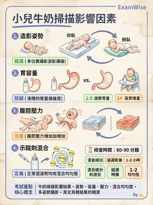放射 - 消化道造影 - AI 圖文解析預覽