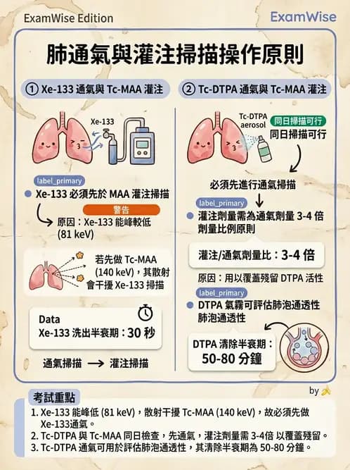 放射 - 肺部與感染造影 - AI 圖文解析預覽