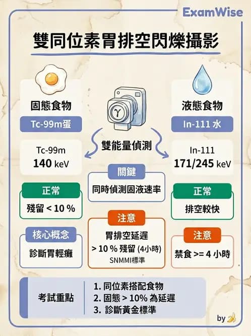 放射 - 消化道造影 - AI 圖文解析預覽