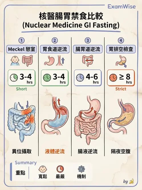 放射 - 消化道造影 - AI 圖文解析預覽