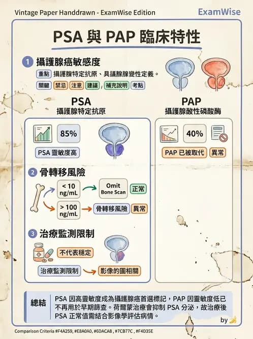 放射 - 免疫分析品管與臨床應用 - AI 圖文解析預覽