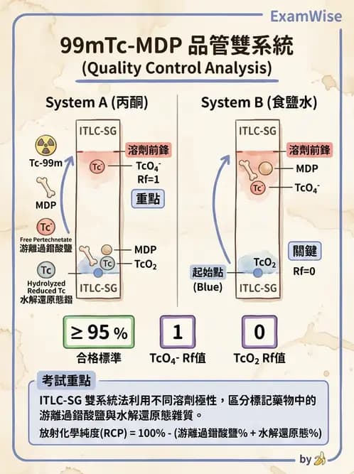 放射 - 肺肝膽與製劑通則 - AI 圖文解析預覽