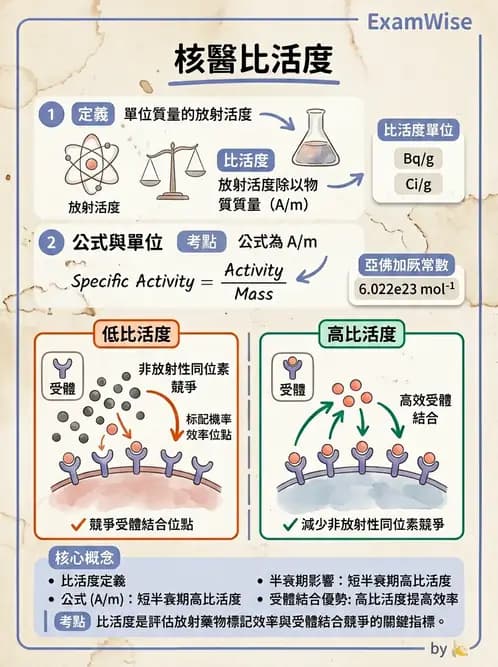 放射 - 蛻變類型與計算 - AI 圖文解析預覽