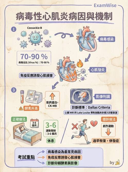 護理師 - 呼吸、循環系統 - AI 圖文解析預覽