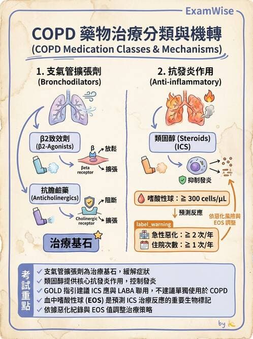 護理師 - 呼吸道及胃腸道作用藥物 - AI 圖文解析預覽